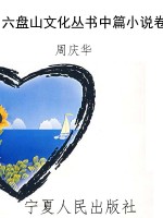 六盘山文化丛书中篇小