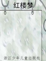 红楼梦