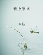 新版宋词