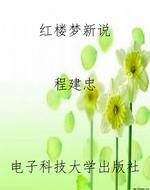 红楼梦新说