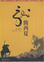 龙腾西夏