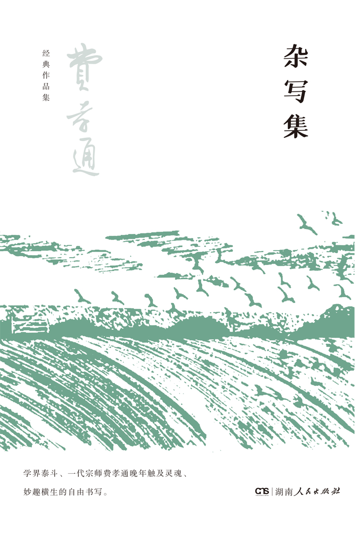 杂写集：全5册（费孝通经