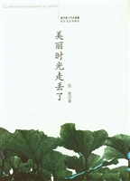 美丽时光走丢了