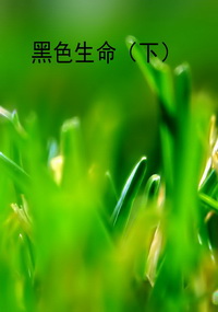 黑色生命（下）