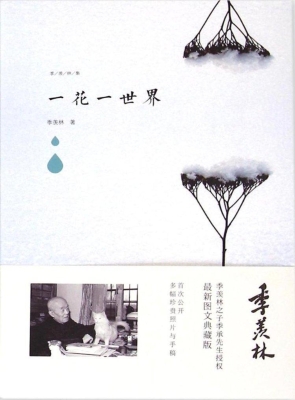 一花一世界