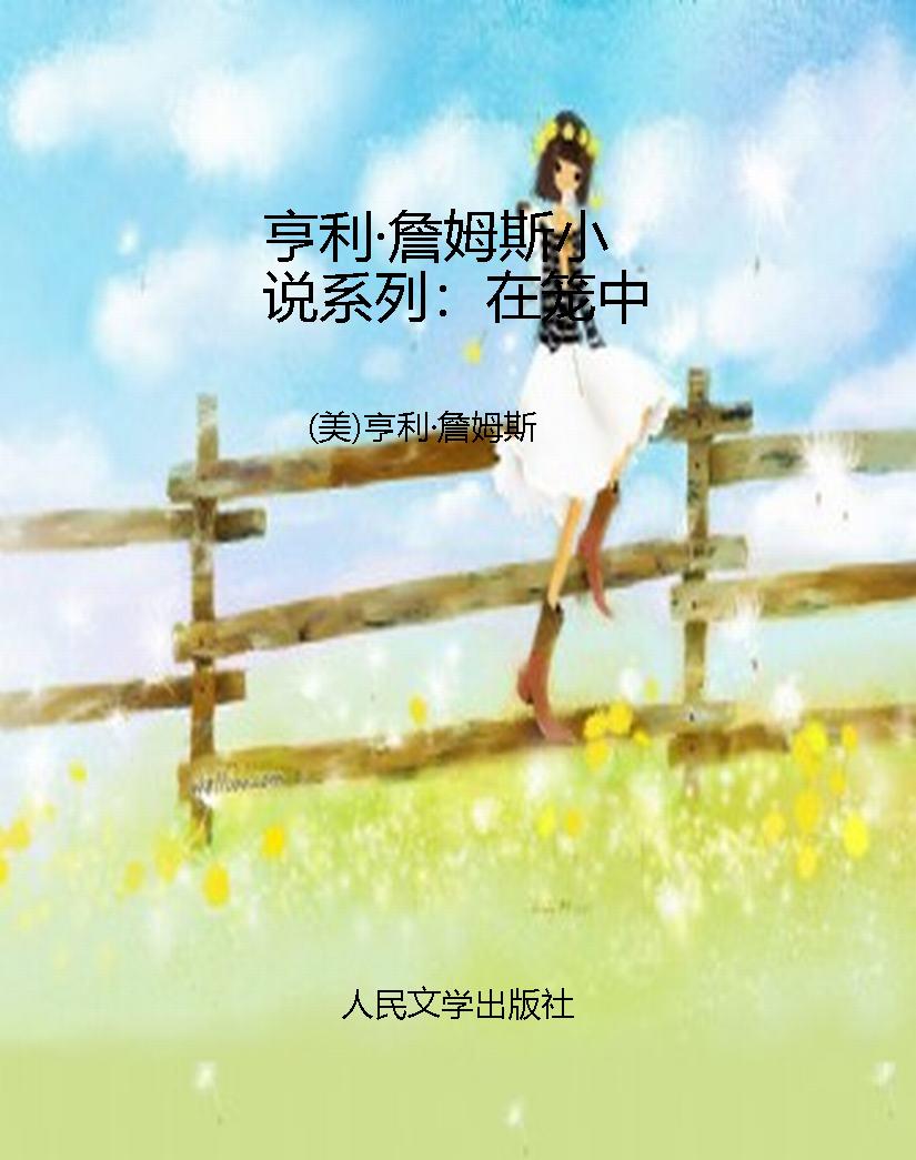 亨利·詹姆斯小说系列