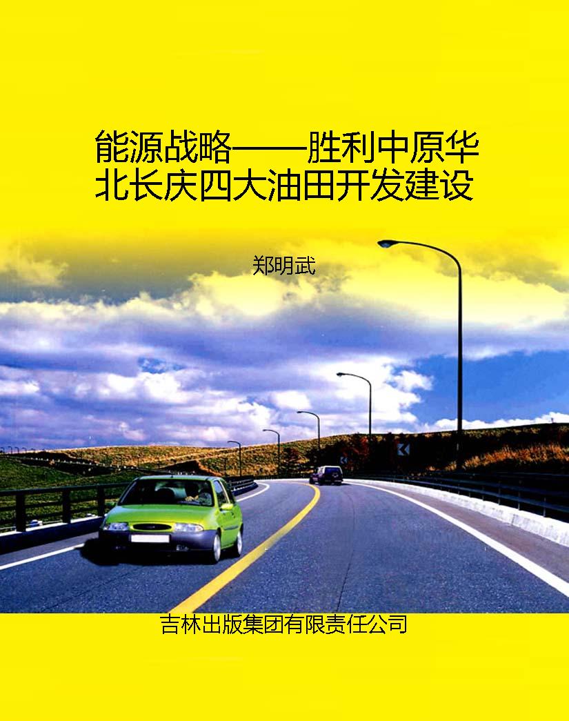 能源战略——胜利中原