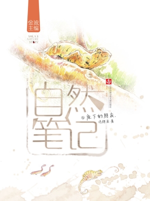 床下的朋友
