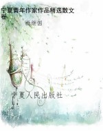 宁夏青年作家作品精选