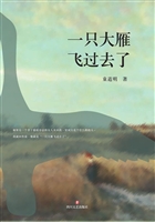 一只大雁飞过去了