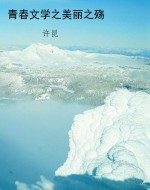 青春文学之美丽之殇