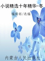 小说精选十年精华-冬