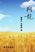 翔龙