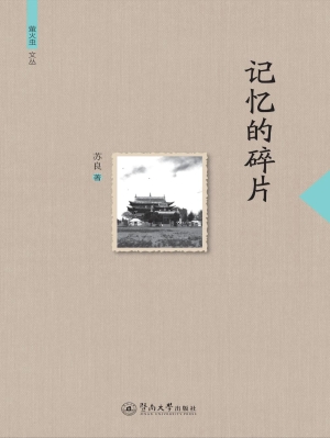 记忆的碎片