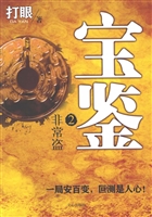 宝鉴 2——非常盗
