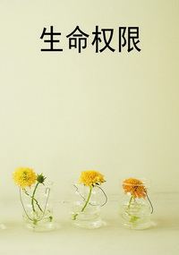 生命权限