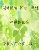 湖畔随笔：怀念一棵树