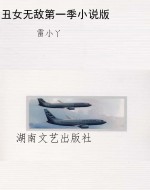 丑女无敌第一季小说版