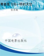 青春是飞鸟一样的天空