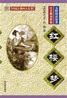 红楼梦