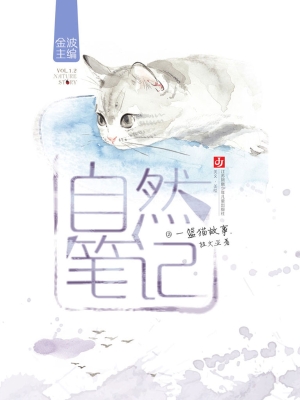 一篮猫故事