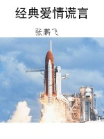 经典爱情谎言