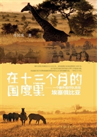 在十三个月的国度里