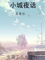 小城夜话