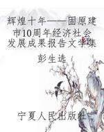辉煌十年——固原建市