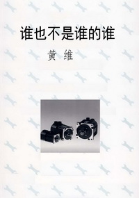 谁也不是谁的谁