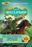 钢铁是怎样炼成的