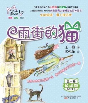 雨街的猫