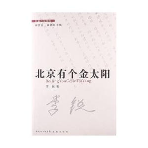 北京有个金太阳