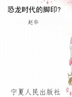 恐龙时代的脚印