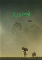 太阳回家