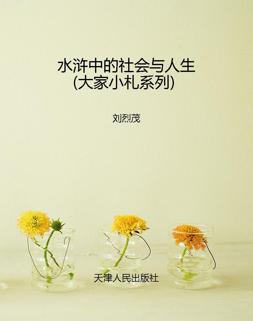 水浒中的社会与人生（大