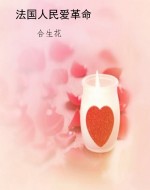 法国人民爱革命