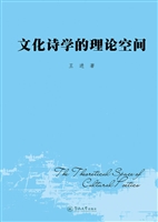 文化诗学的理论空间