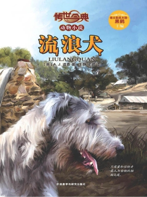 流浪犬