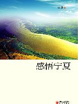 《感悟宁夏》