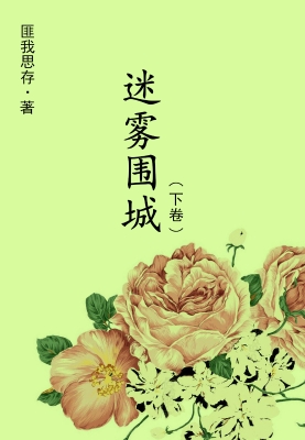 迷雾围城（下卷）