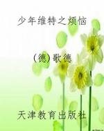 少年维特之烦恼