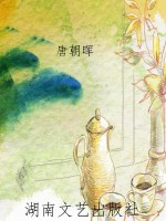 2003—2004年青春文学