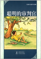 聪明的审判官