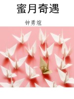 蜜月奇遇