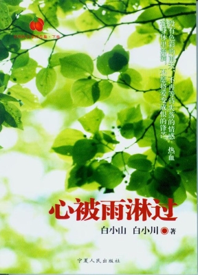 心被雨淋过