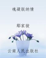 魂凝版纳情