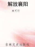 解放襄阳