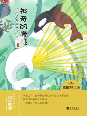 神奇的魔镜