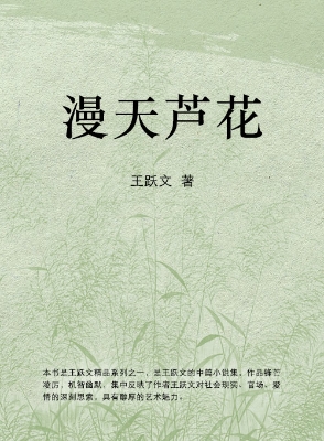 漫天芦花